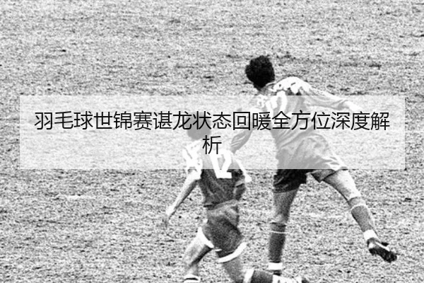 羽毛球世锦赛谌龙状态回暖全方位深度解析